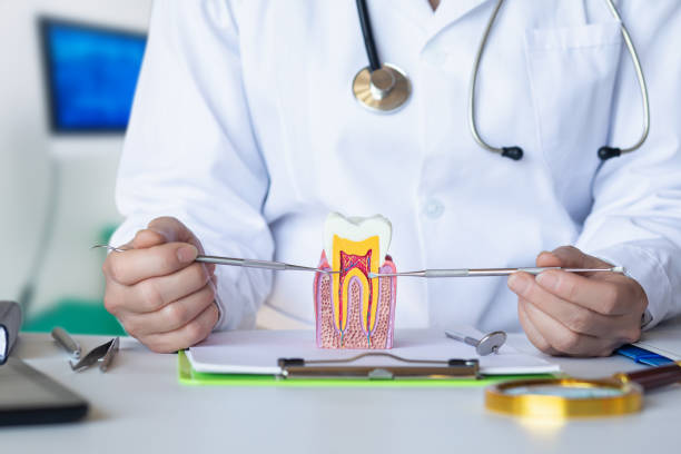 Best Urgent Dental Care for Toothache in Cana, VA